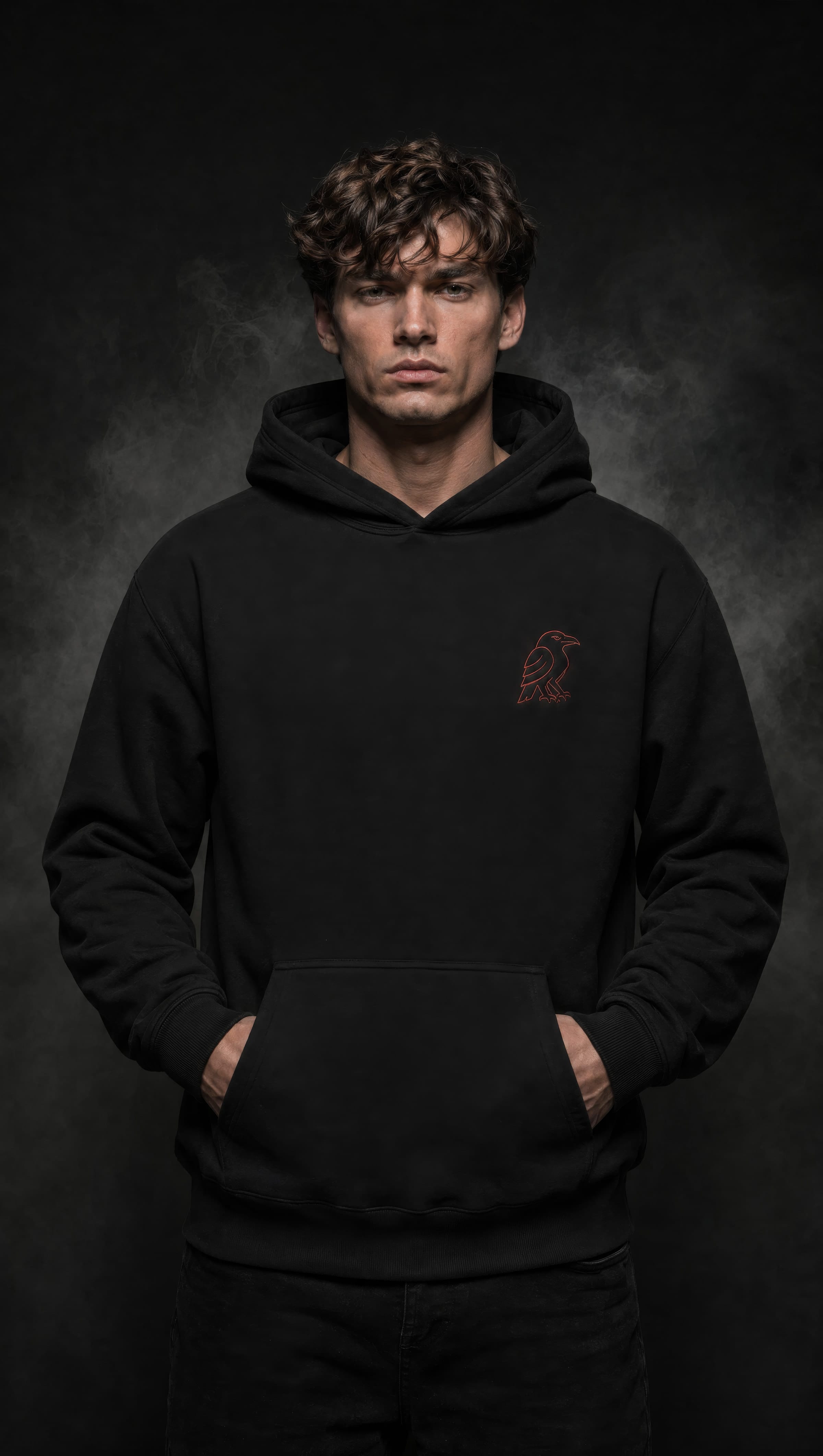 Model wearing RAVO Embroidered Raven Hoodie — front